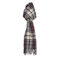 Winter Mufflers
