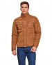 Men  Jacket Tan Color