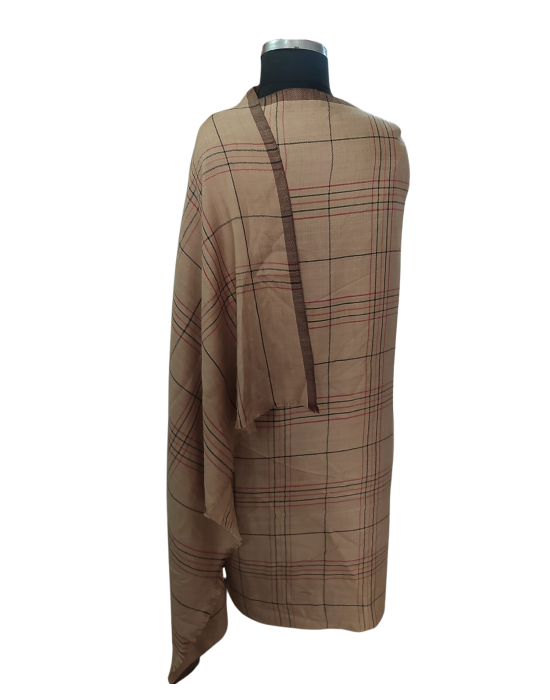Women  Shawls Check design Brown
