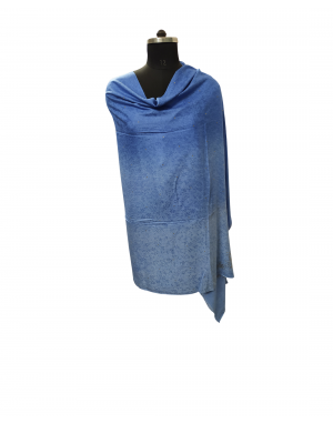Women self desigan sky blue color