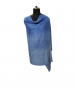 Women self desigan sky blue color