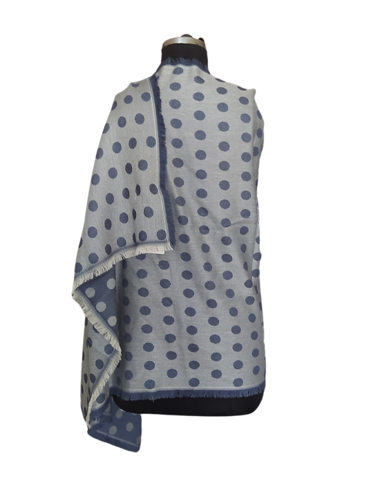 Women  Stole Dotted design Grey