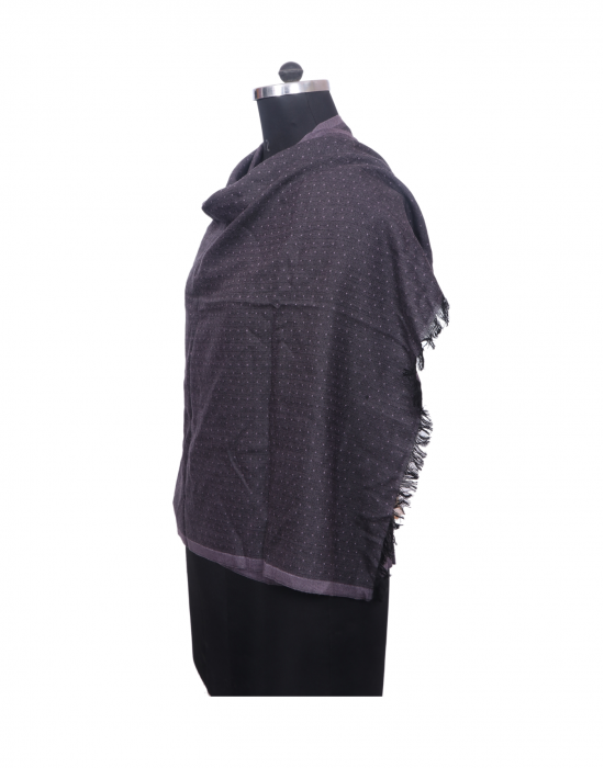 Women Stole dotted design grey